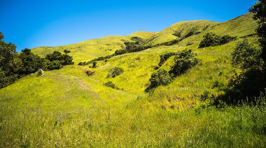Green California Hills And Mountains In Spring #2 Photograph by Alex Grichenko