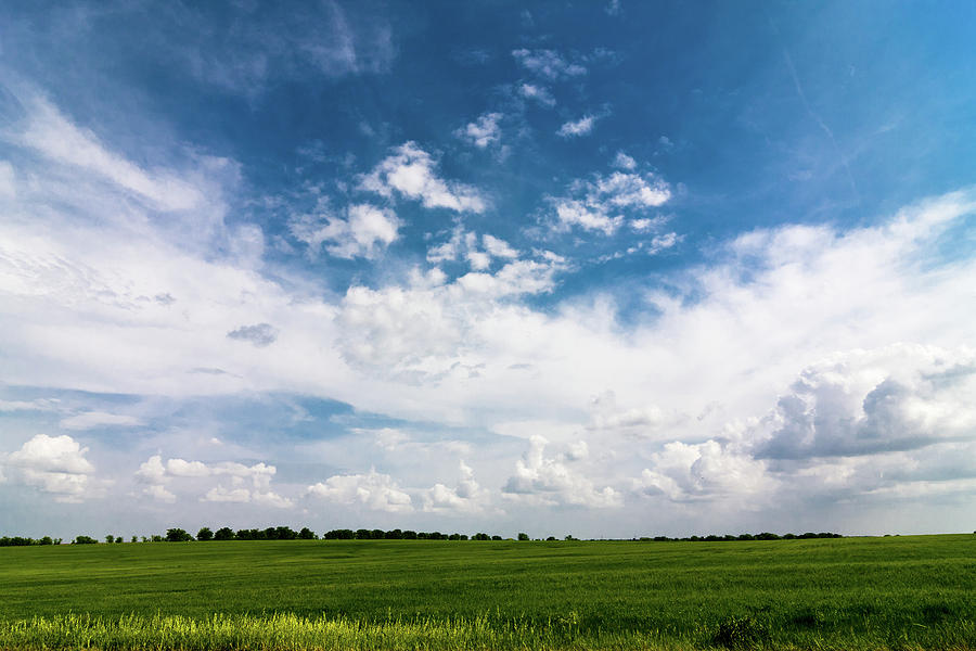 Green Field Blue Sky Photograph by Ken Hurst