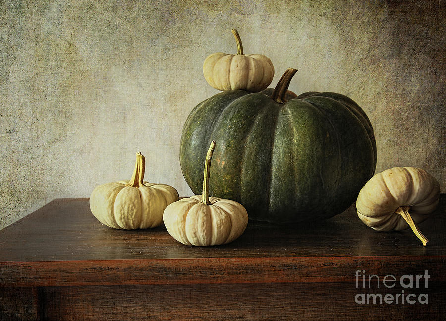 Nature Photograph - Green pumpkin and gourds on table  #2 by Sandra Cunningham