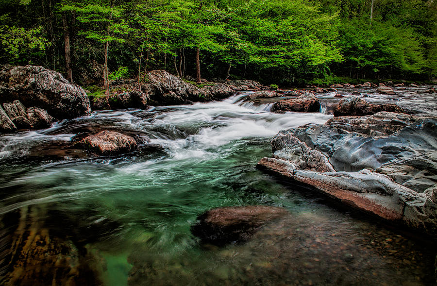 Unique Photograph - Green Waters #2 by Dave Bosse
