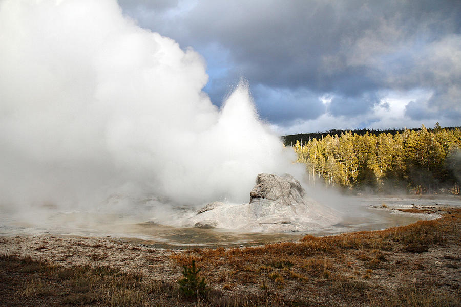 Grotto Geyser Yellowstone Photograph by Pierre Leclerc Photography ...