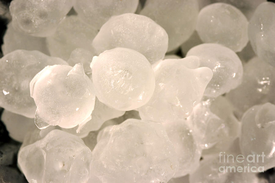 Hail Stones #1 Photograph by Ted Kinsman
