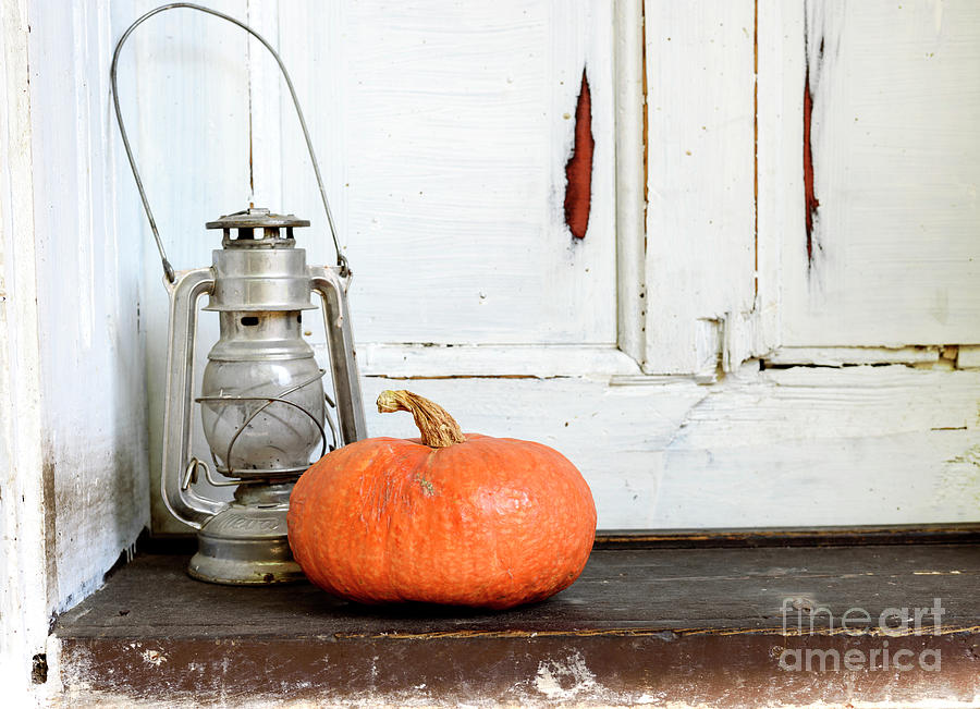 Halloween pumpkin Photograph by Jelena Jovanovic