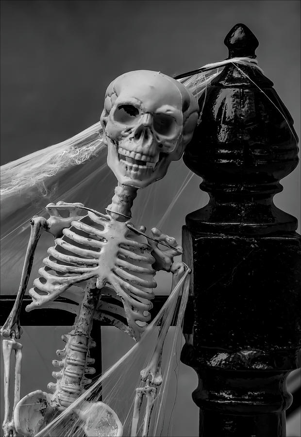 Halloween Skeleton Decoration #2 Photograph by Robert Ullmann