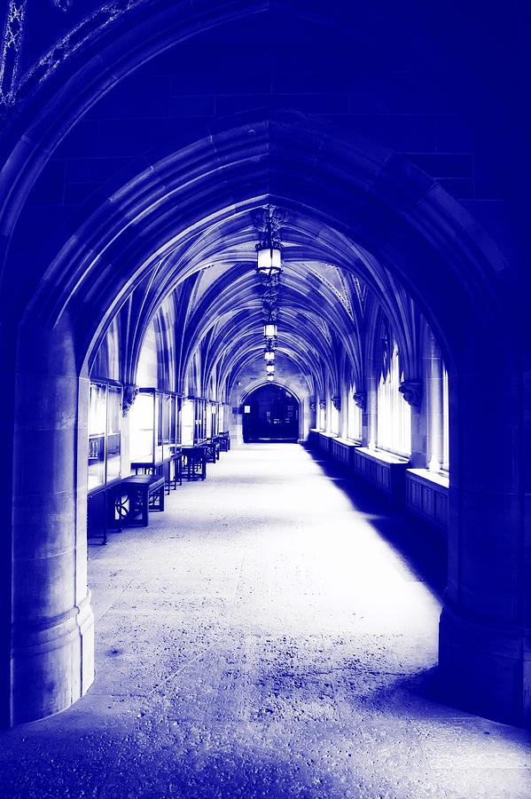 Halls Of Yale #2 Photograph by Mountain Dreams