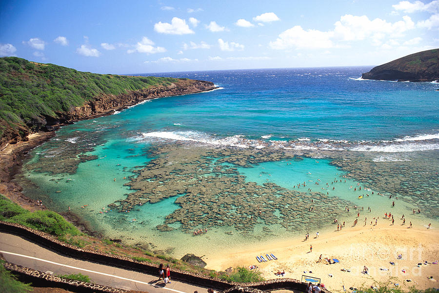 Hanauma Bay Photograph by Peter French - Printscapes - Fine Art America