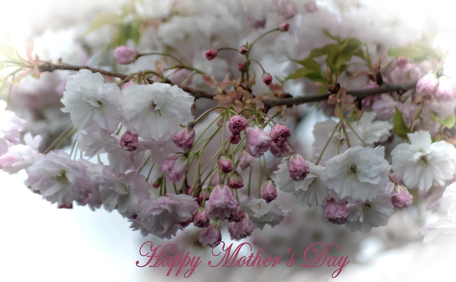 Happy Mother's Day Photograph - Happy Mothers Day #1 by Tikvahs Hope