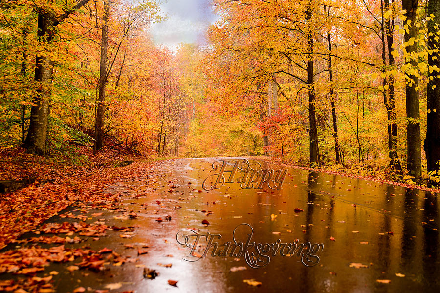 Tree Photograph - Happy Thanksgiving #2 by Mary Timman