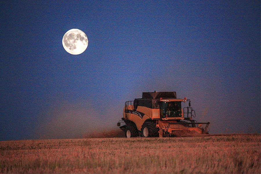 Harvest Moon #2 Photograph by David Matthews