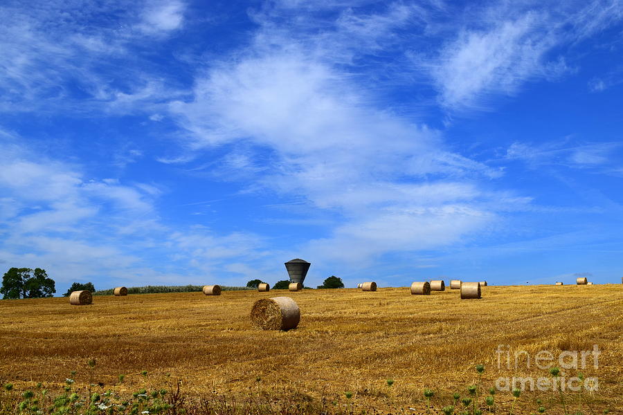 Harvest time #2 Photograph by Joe Cashin