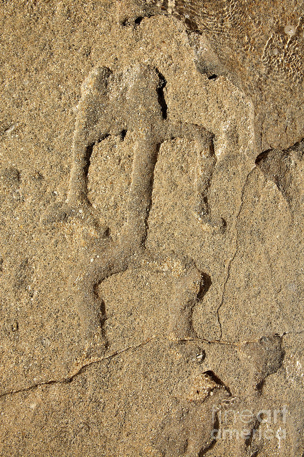 Hawaiian Petroglyph #2 Photograph by Vince Cavataio - Printscapes