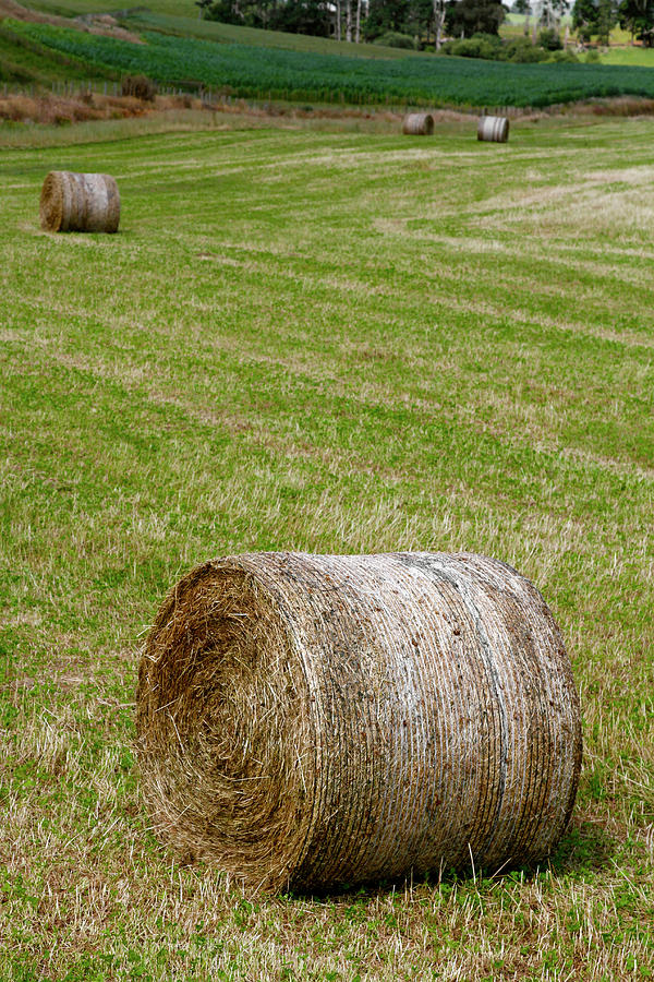 Hay bales 4 Photograph by Les Cunliffe