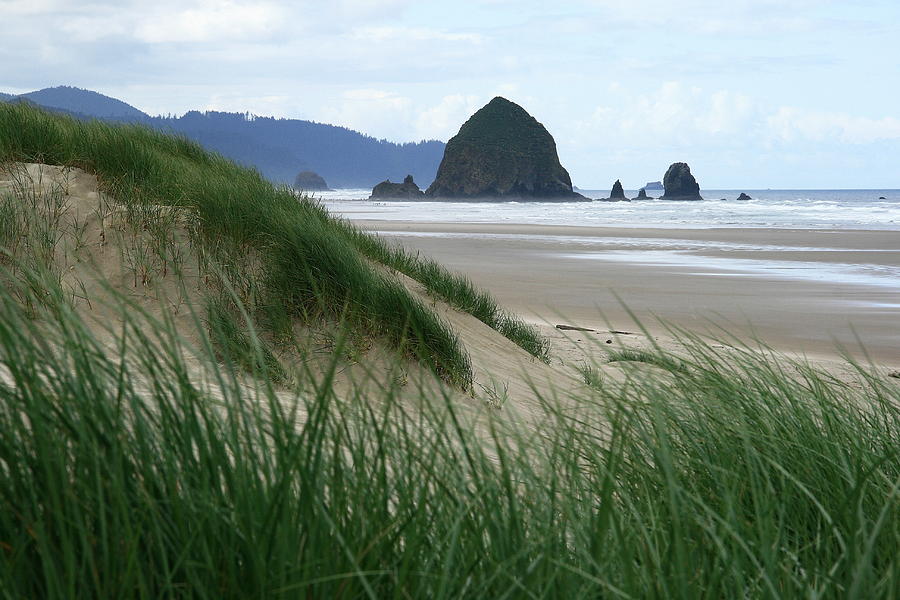 Haystack Rock from Chapman Point #2 Photograph by Steven A Bash