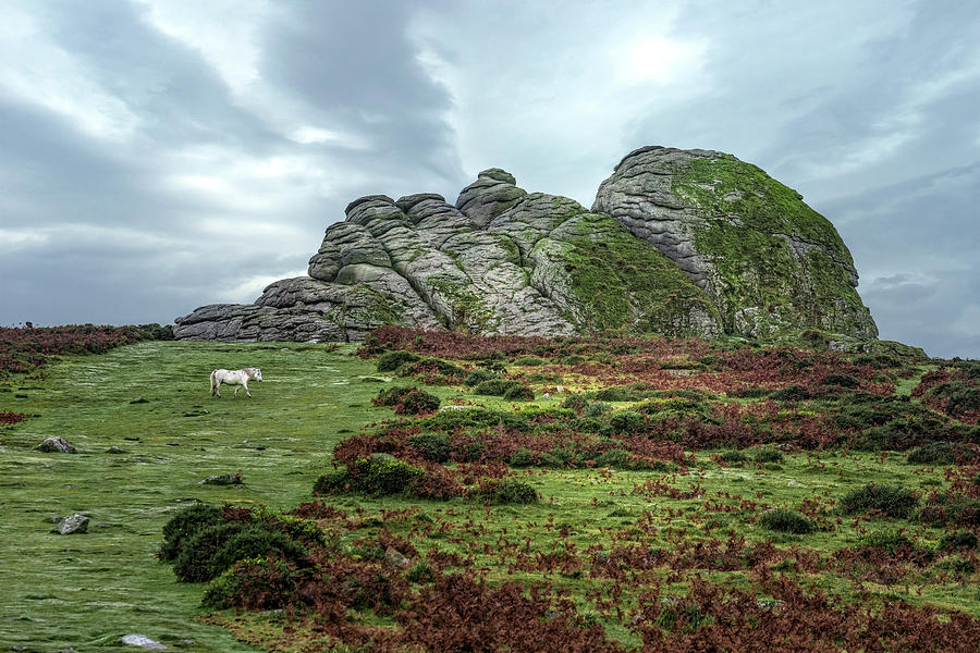 Nature Photograph - Haytor Rocks - Dartmoor #2 by Joana Kruse