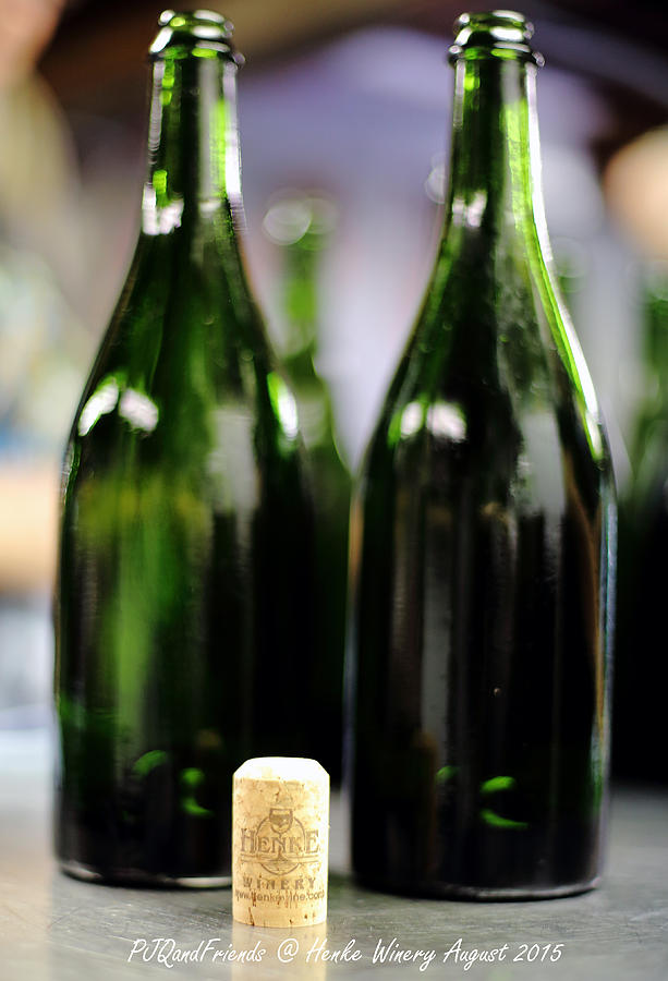 Henke Winery Sparkling Champagne #2 Photograph by PJQandFriends Photography