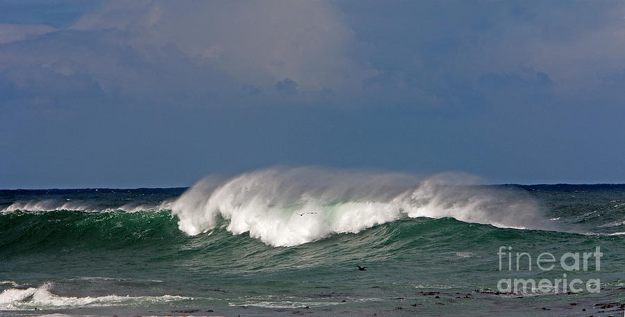 Hermanus Surf, South Africa, Indian #2 Photograph by Gerard Lacz