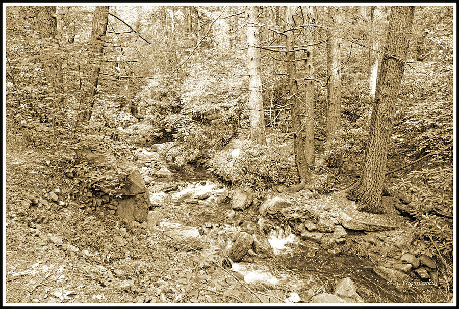 Hickory Run Stream, Pocono Mountains, Pennsylvania #2 Photograph by A Macarthur Gurmankin