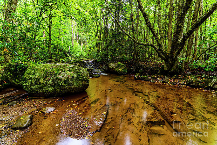 Hills Creek Monongahela National Forest #2 Photograph by Thomas R Fletcher
