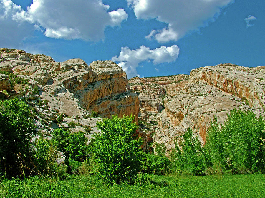Hog Canyon Trail on Tour of the Tilted Rocks in Dinosaur National Monument, Utah #2 Photograph by Ruth Hager