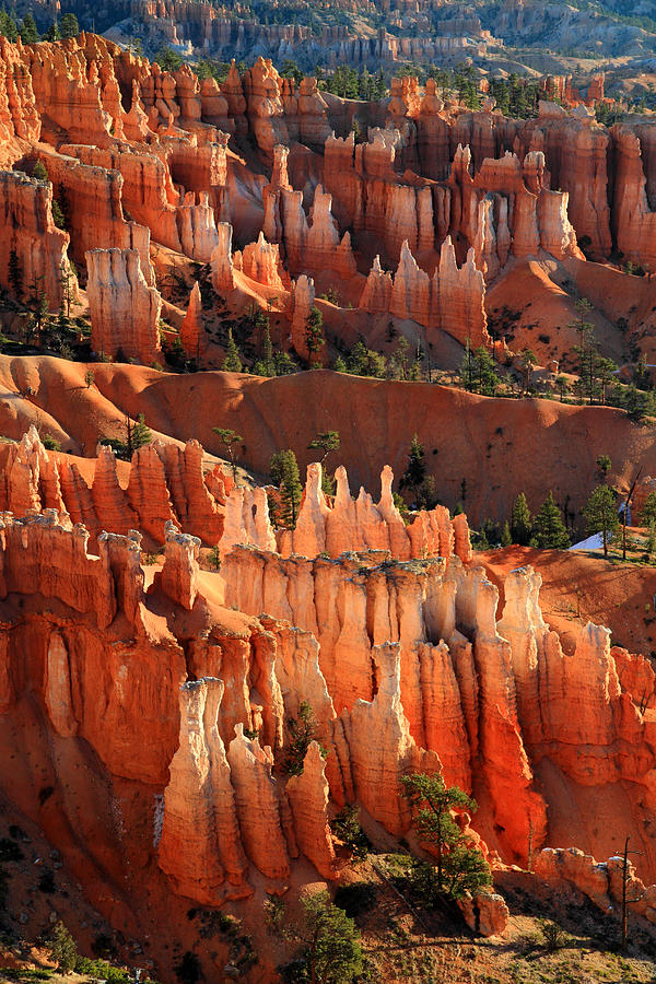 Hoodoos of sunset point in Bryce Canyon Photograph by Pierre Leclerc ...