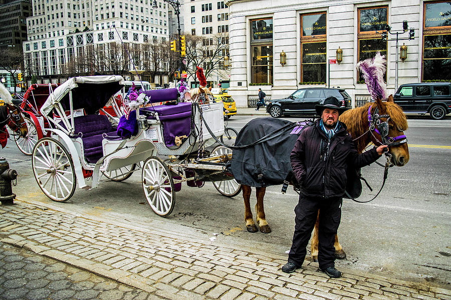 Horse and Carriage. Central Park NYC. Photograph by Leonard Cascia ...