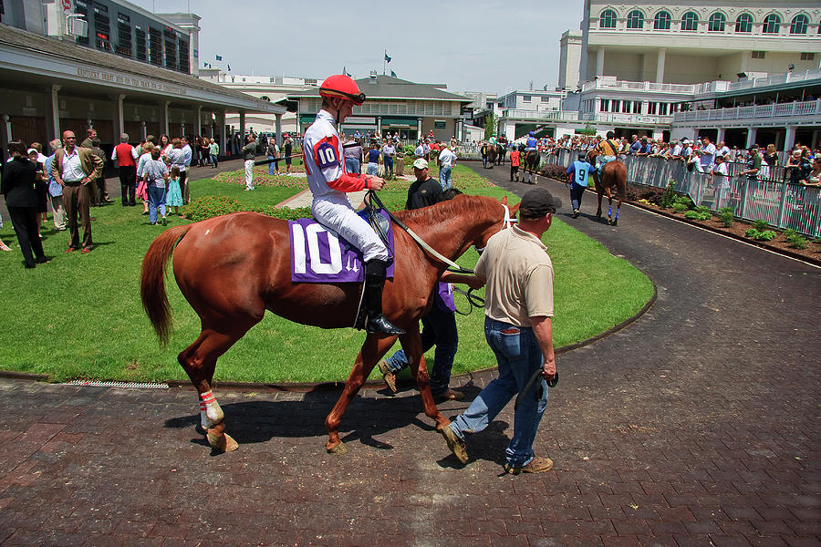 Horse Racing #2 Photograph by Jill Lang Horse Racing #2 Photograph by Jill Lang