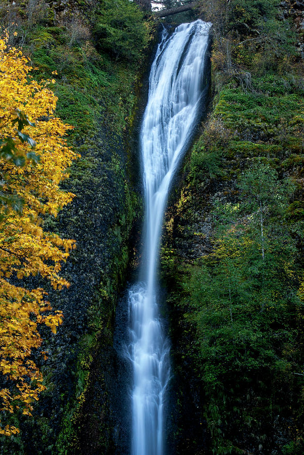 Horsetail Falls #2 Photograph by Donald Pash
