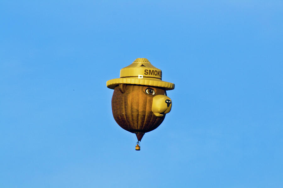 Hot Air Balloon #2 Photograph by Bill Barber