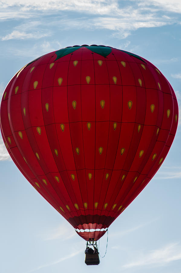 Hot air balloon #2 Photograph by SAURAVphoto Online Store