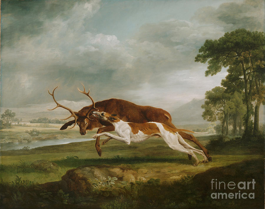 Hound Coursing a Stag #4 Painting by Celestial Images