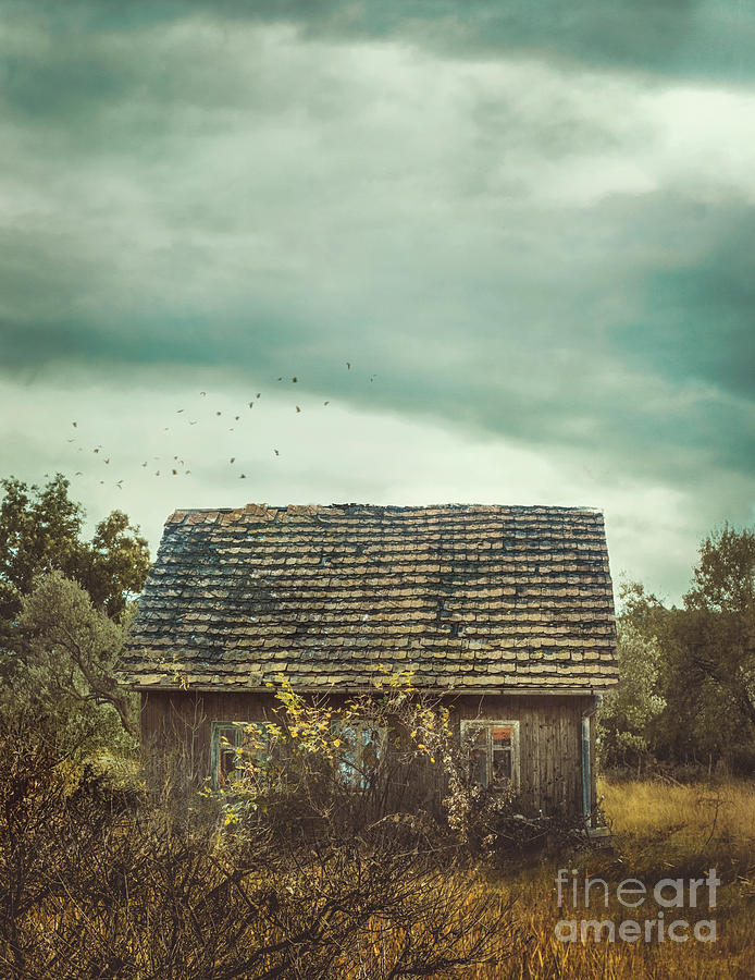 House in field Photograph by Mythja Photography - Fine Art America