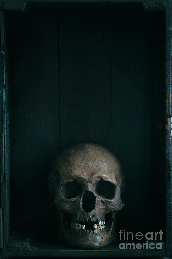 Human Skull #2 Photograph by Lee Avison
