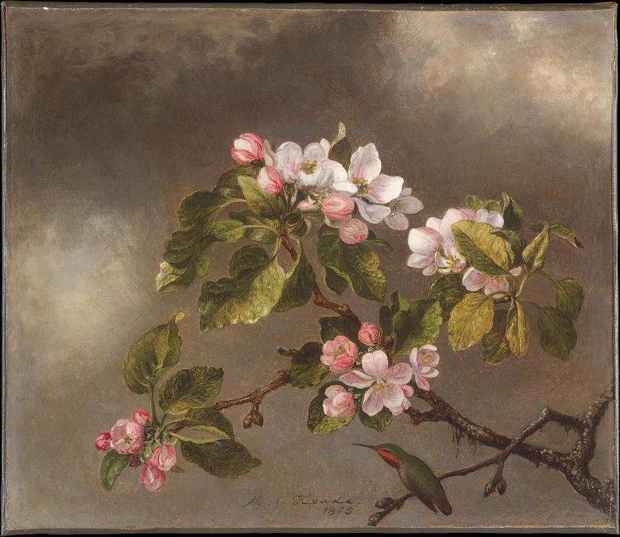 Hummingbird And Apple Blossoms #1 Painting by Martin Johnson Heade