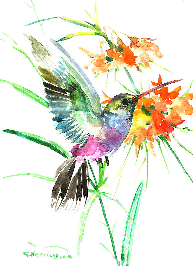 Bird Painting - Hummingbird #2 by Suren Nersisyan