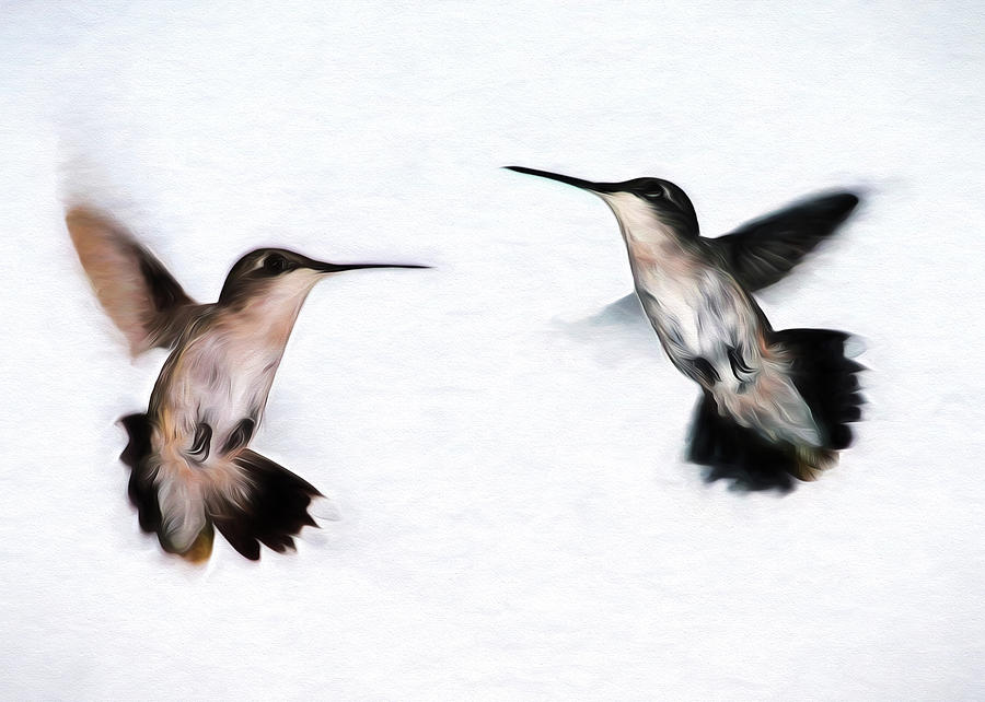 Hummingbirds #2 Photograph by John Freidenberg