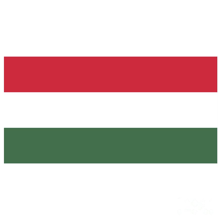 Halloween Digital Art - Hungary Flag #2 by Frederick Holiday