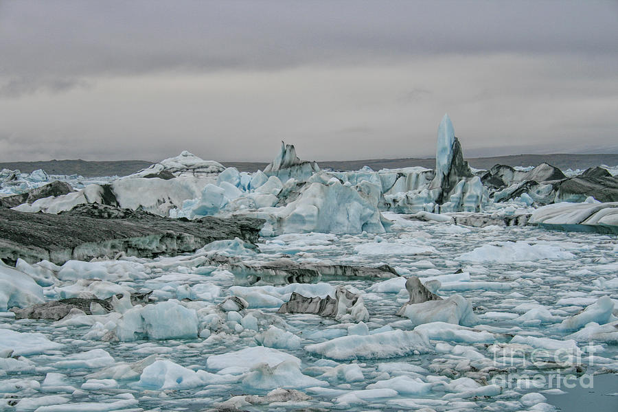 Icebergs in Jokulsarlan glacial lagoon Photograph by Patricia Hofmeester