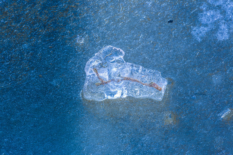 Icefigures #2 Photograph by Elmer Jensen