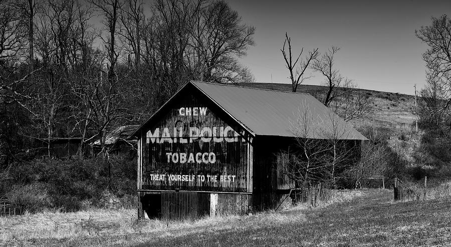 Tree Photograph - Iconic Mail Pouch Tobacco Barn In Ohio #2 by Mountain Dreams