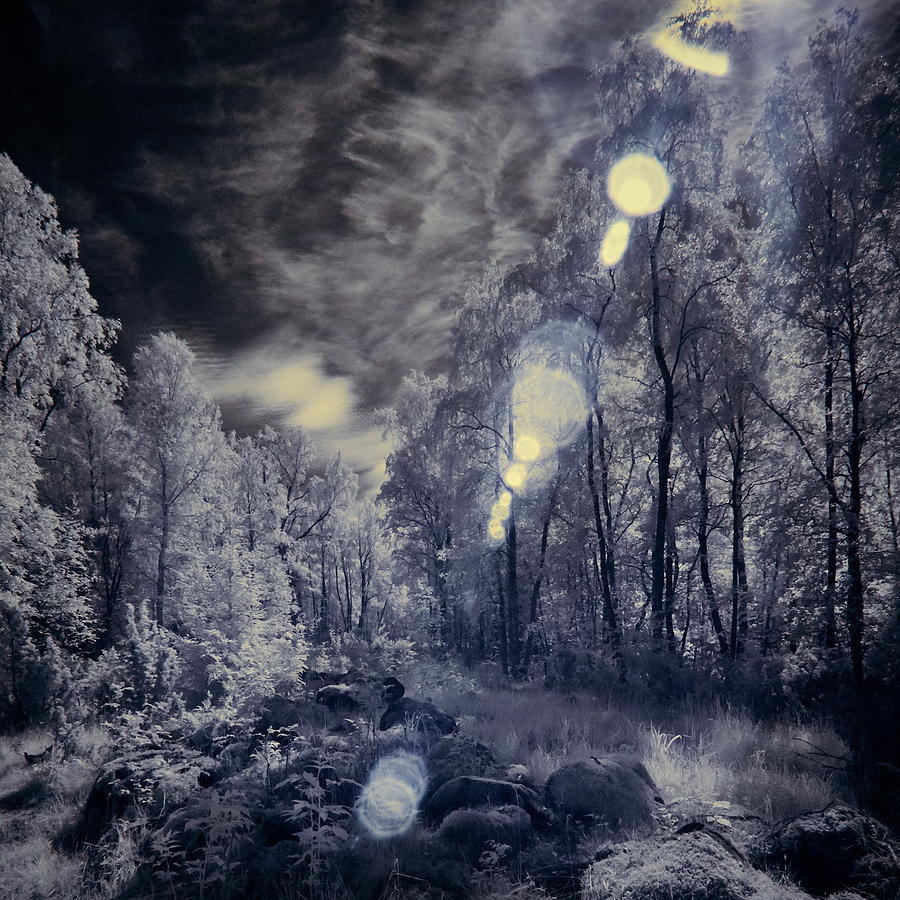 IIn Roytta infrared #2 Photograph by Jouko Lehto