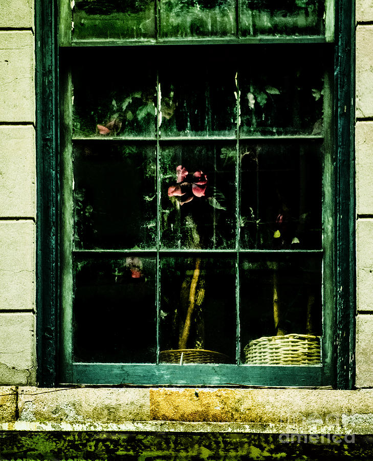 In The Window #1 Photograph by Frances Ann Hattier