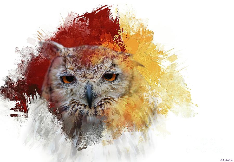 Wildlife Photograph - Indian Eagle-Owl #2 by Eva Lechner