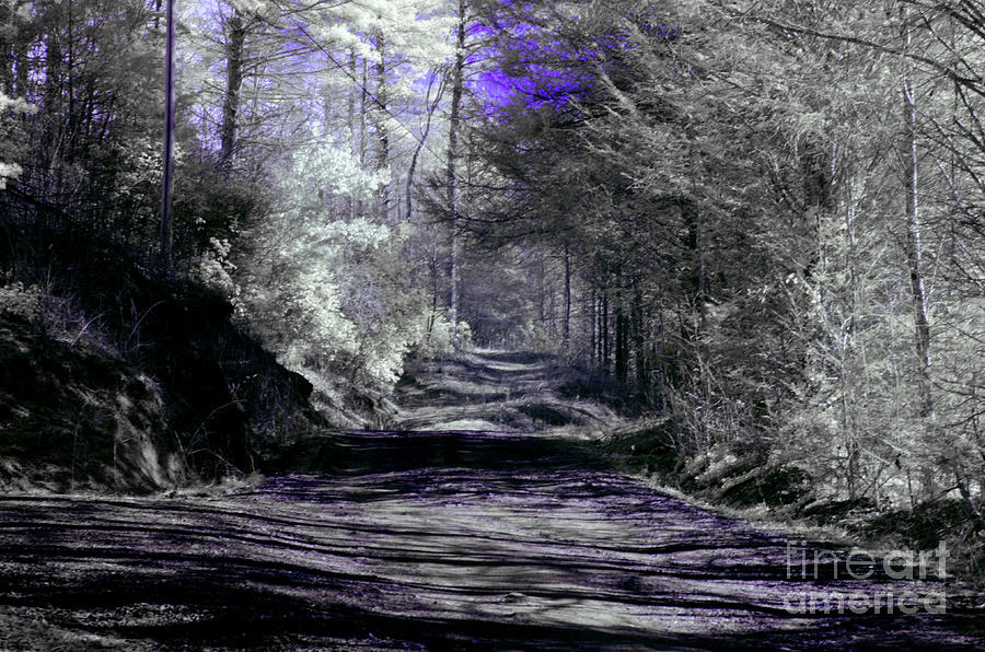 Infrared Blue #2 Photograph by FineArtRoyal Joshua Mimbs