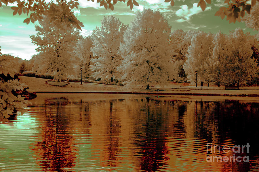 Infrared #2 Photograph by FineArtRoyal Joshua Mimbs
