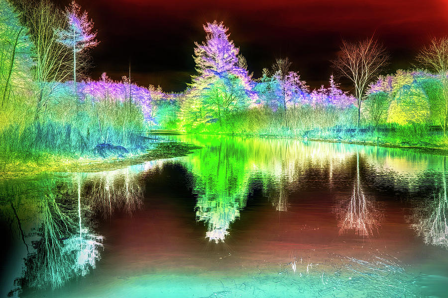 Infrared landscape #3 Mixed Media by Lilia S