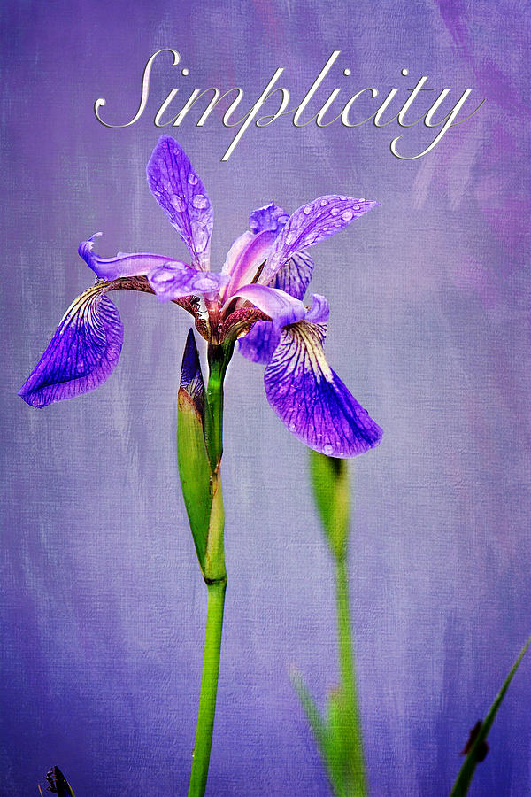 Inspirational Wild Iris Print  #2 Photograph by Gwen Gibson