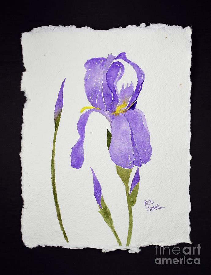 Iris Love #1 Painting by Barrie Stark