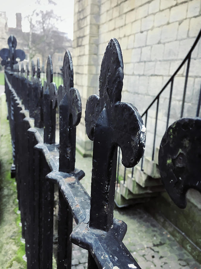Iron railings detail  #2 Photograph by Tom Gowanlock
