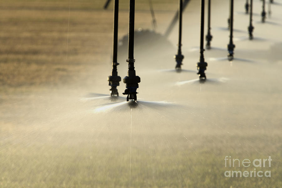 Irrigation Sprinklers Heads #2 Photograph by Inga Spence