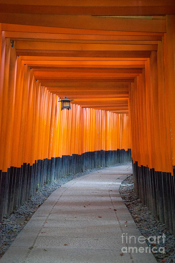 Japan #2 Photograph by Milena Boeva